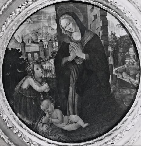 A. C. Cooper — Anonimo fiorentino - sec. XV - Madonna in adorazione del Bambino con san Giovannino — insieme